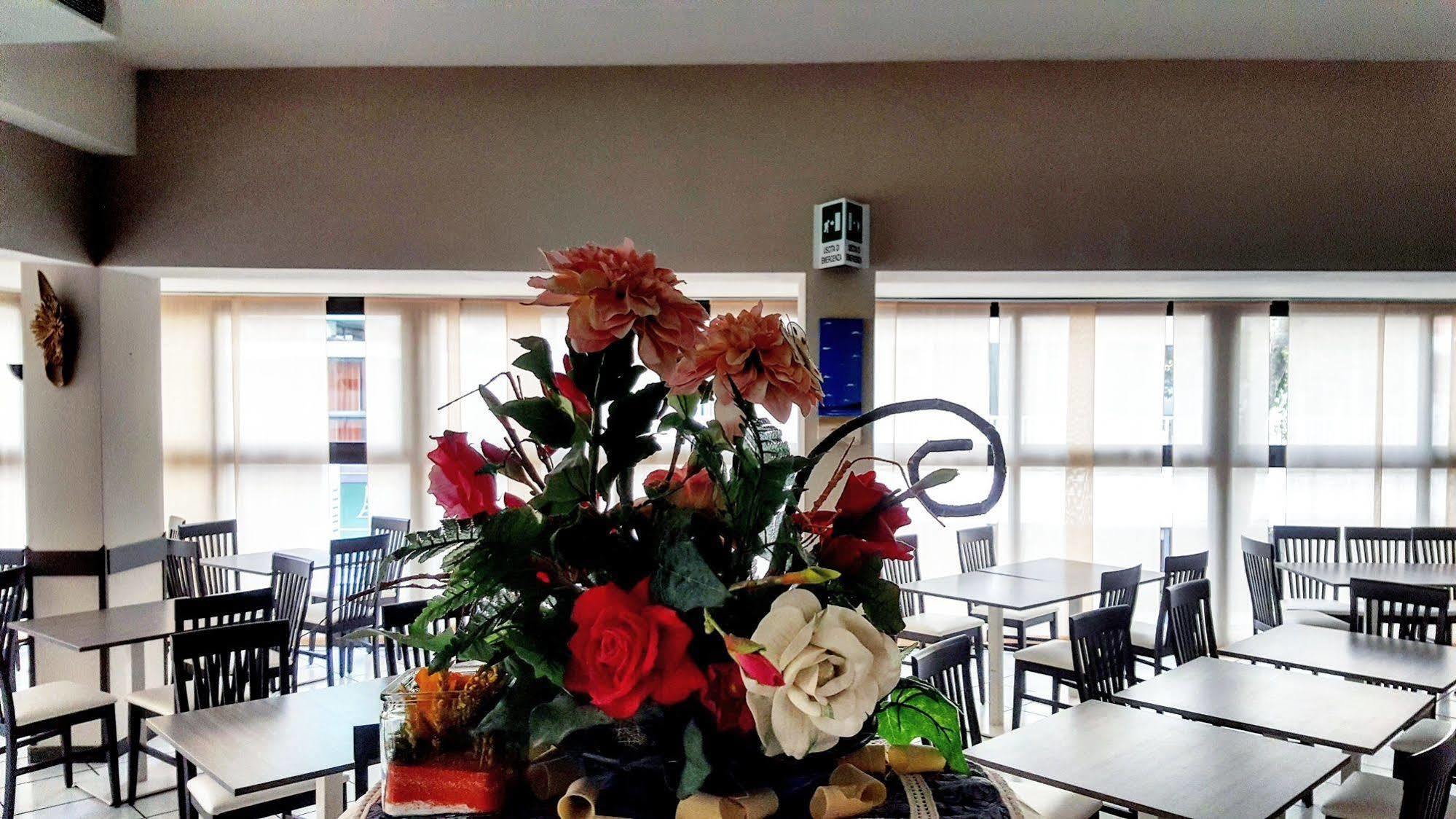 Senyor Hotel 3*